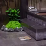 紙紮天堂溫泉會館：圖片 4