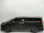 紙紮LEXUS LM 300h(黑)(大)：圖片 6